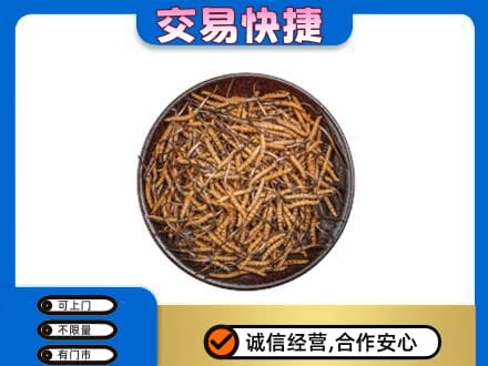 昌乐县回收散虫草
